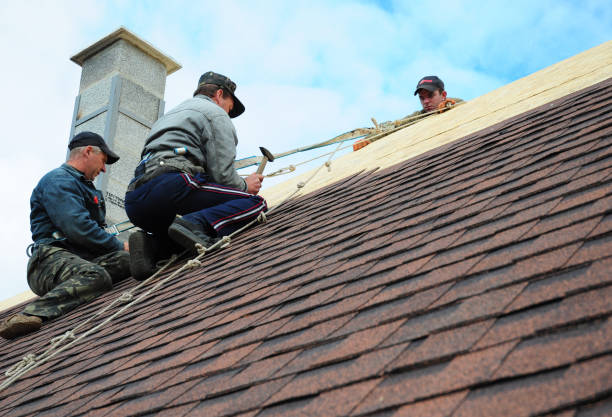Best Metal Roofing Contractor  in Burns Harbor, IN